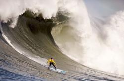 AYX官方直播-鹈鹕硬仗取胜步行者，拉梅洛点燃赛场，新星闪耀之夜