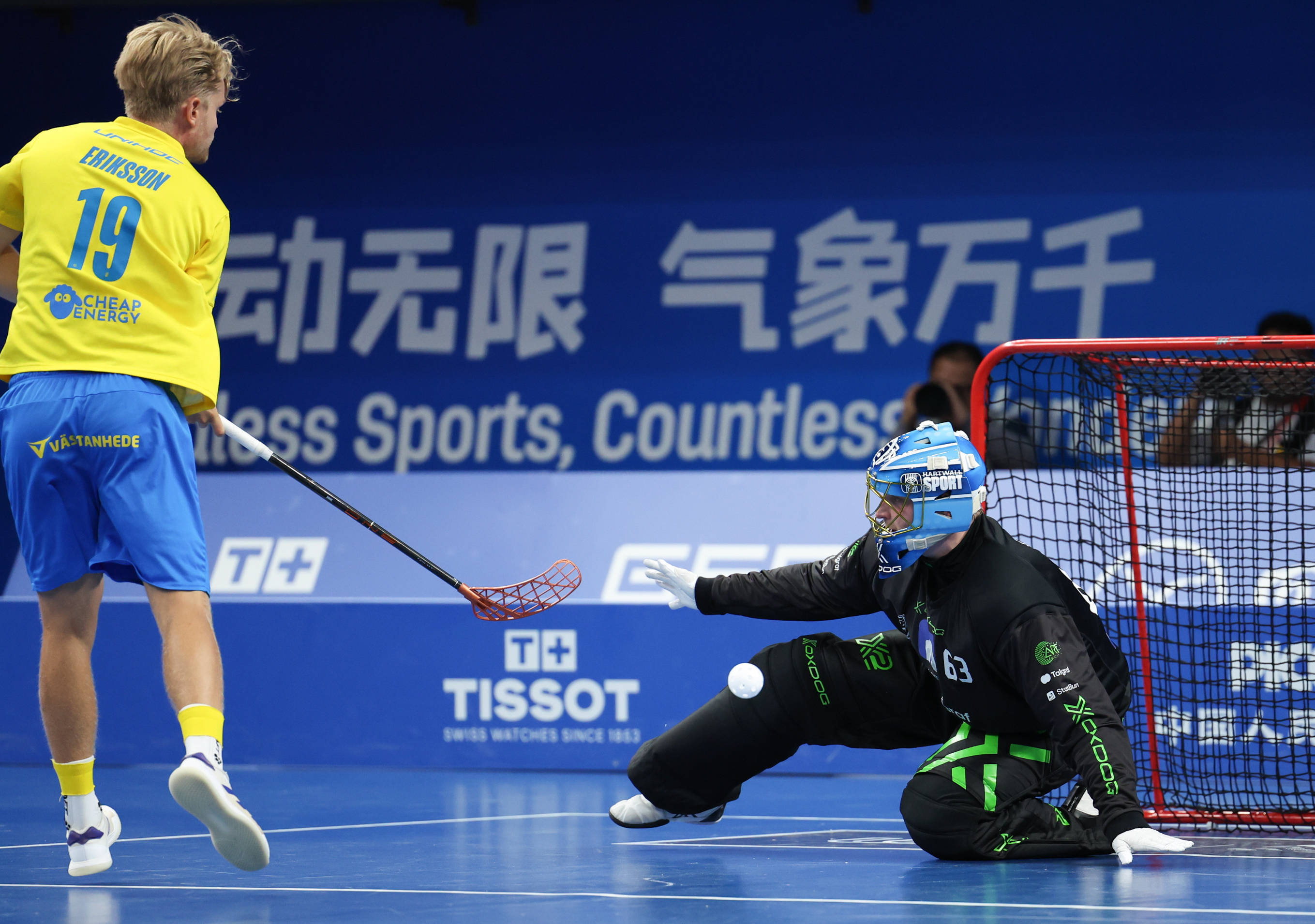 曲棍球比赛加拿大队击败德国队