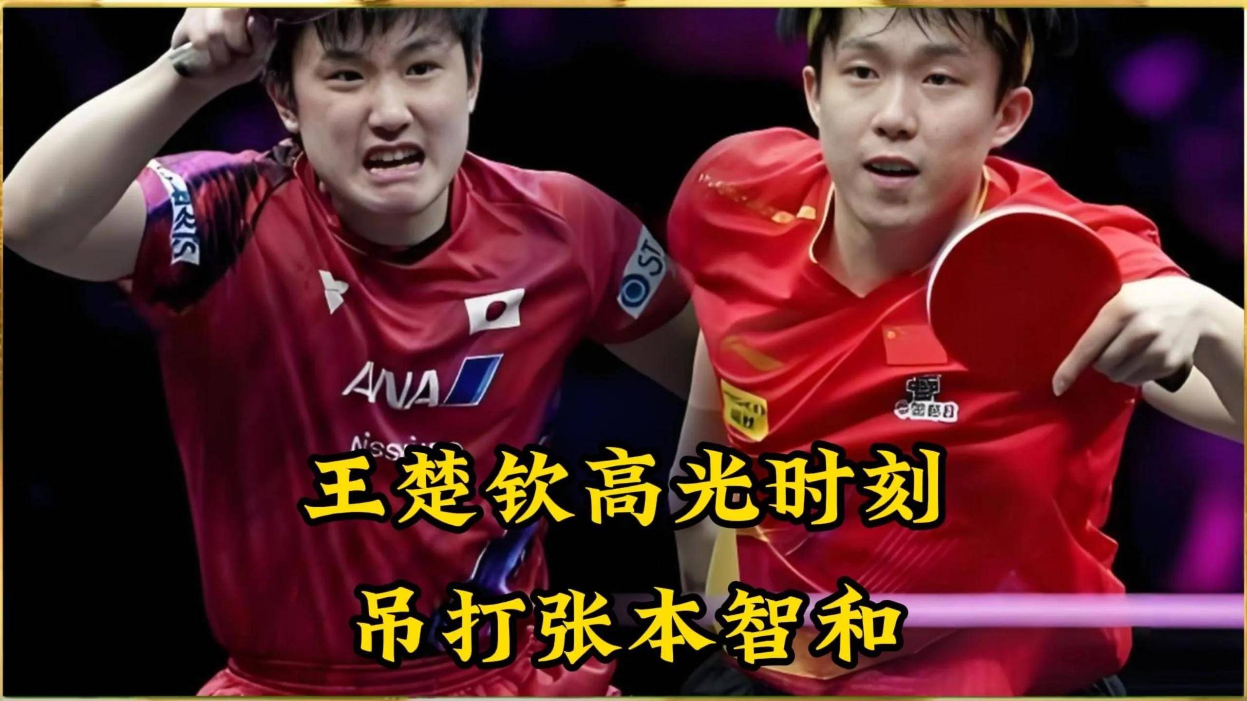 法国乒乓球队绝地反击中国乒乓球队，张本智和关键制胜的简单介绍