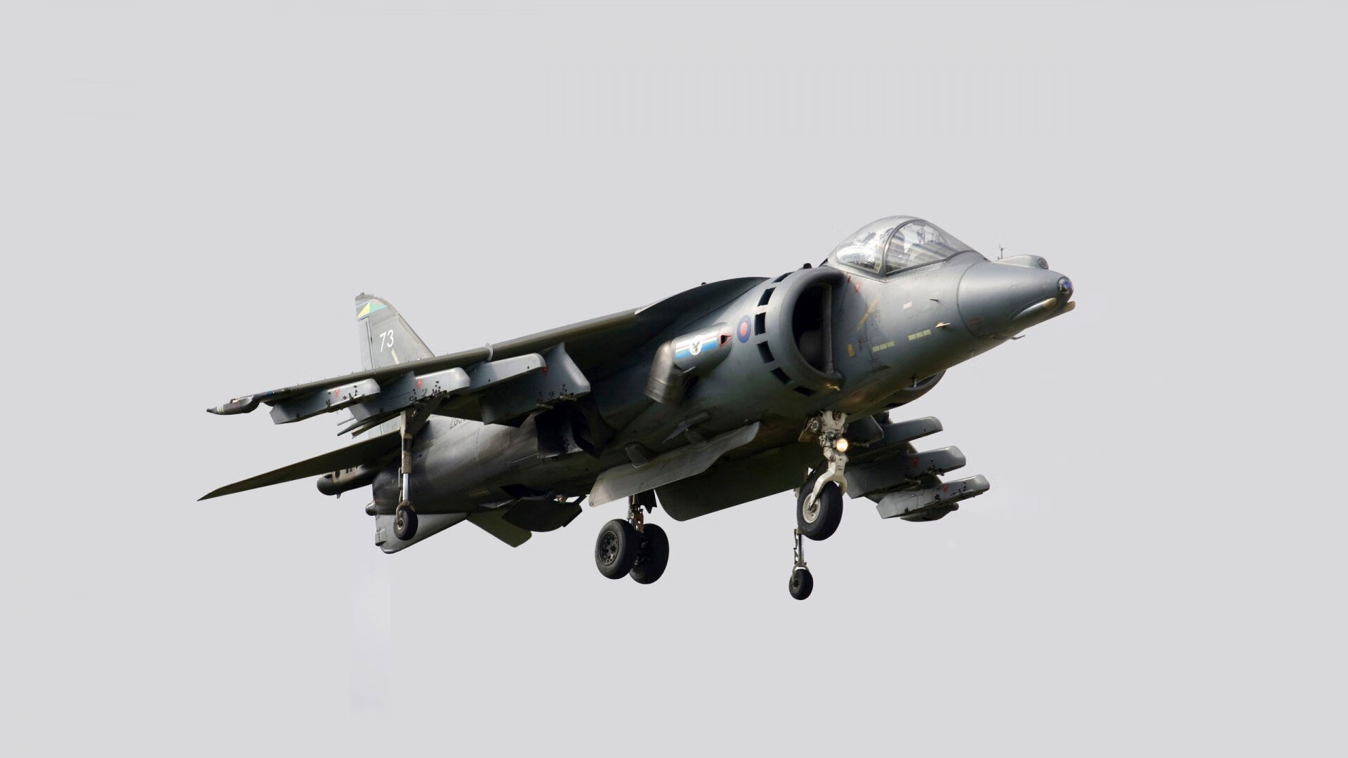 西决生死战焦点战,森林狼斩落掘金,坚韧与智慧铸就历史性胜利