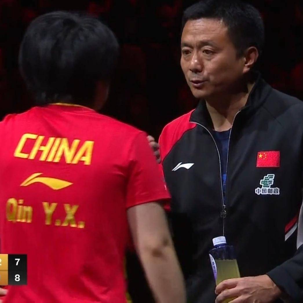 关于德国队险胜波兰队，张本智和惊艳四座的信息