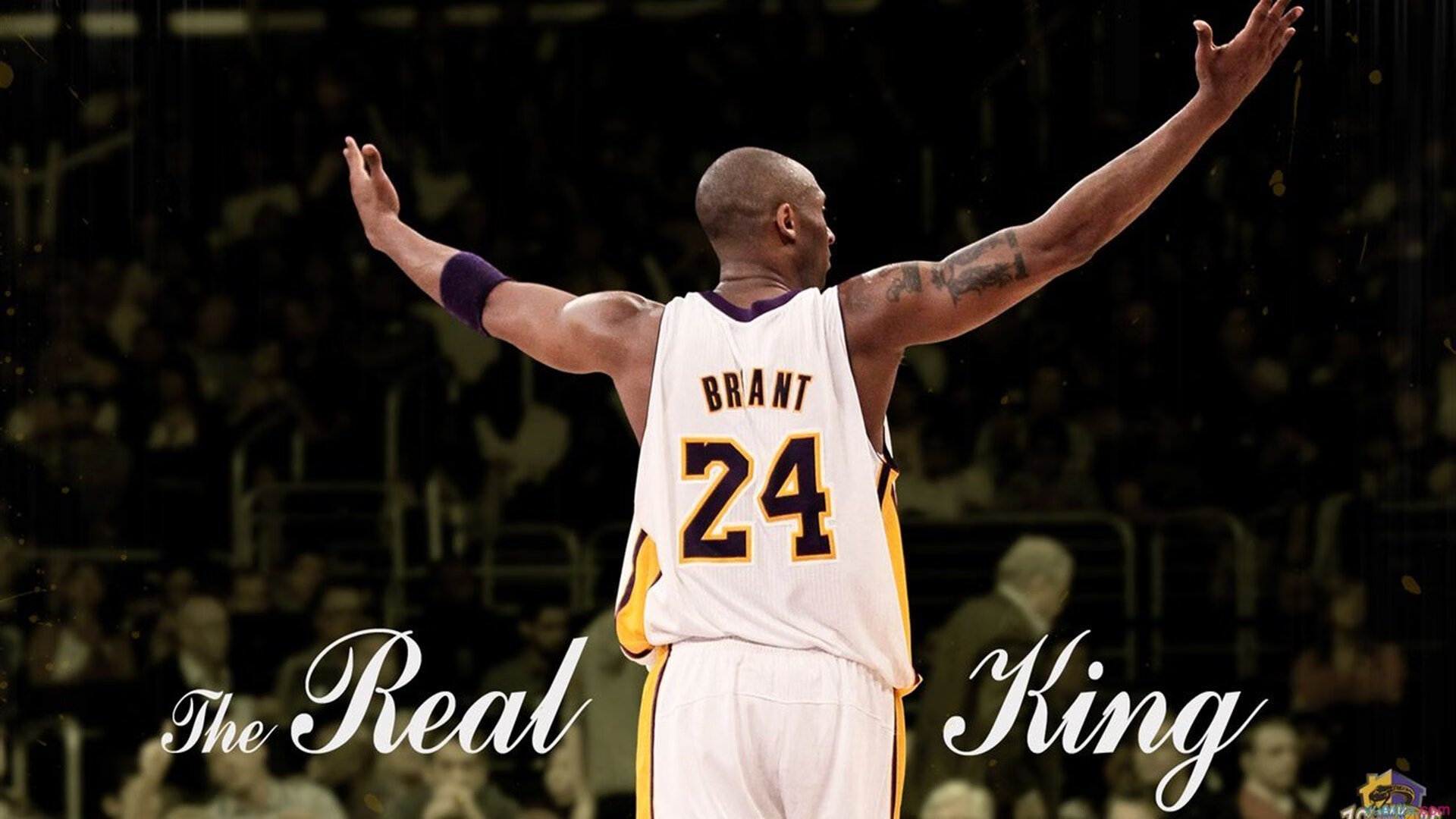 铁血塞内加尔锁死南大王，蒂亚戈一射定乾坤点燃非洲之夜